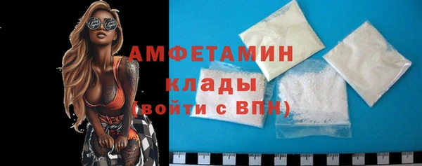 индика Инта
