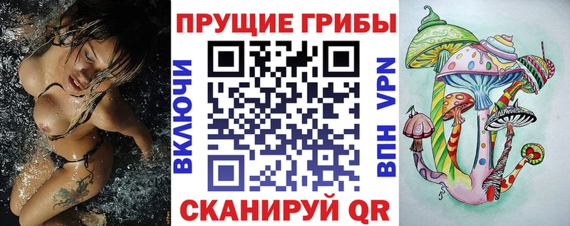 Купить  Островной  Псилоцибиновые грибы Psilocybe 